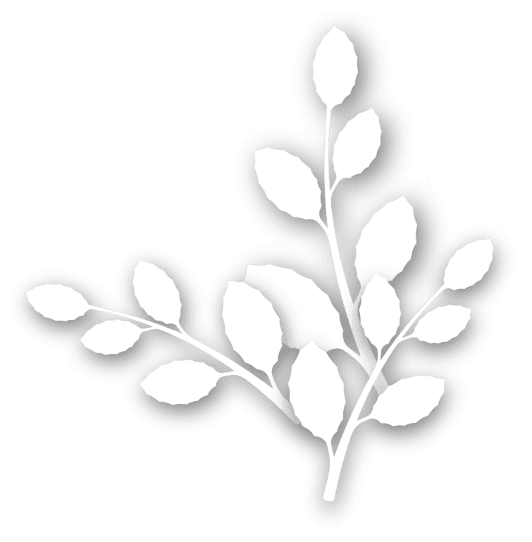 Vimarsa logo
